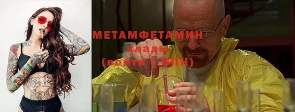 крисы Козловка