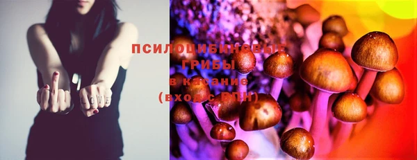 экстази Карпинск