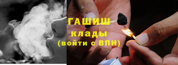 крисы Козловка
