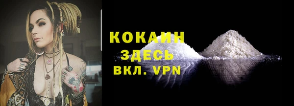 крисы Долгопрудный