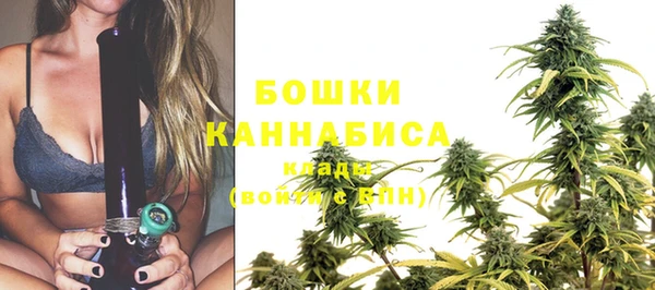 ГАЛЛЮЦИНОГЕННЫЕ ГРИБЫ Козельск