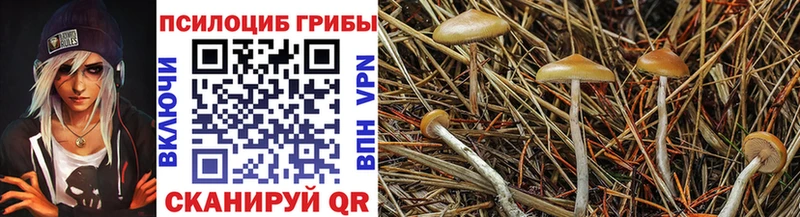 Псилоцибиновые грибы GOLDEN TEACHER  Комсомольск 