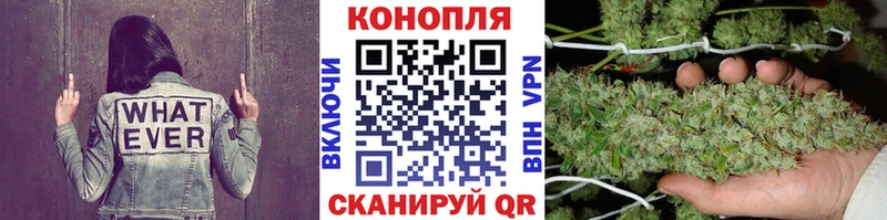 наркотики  Комсомольск  Канабис Amnesia 